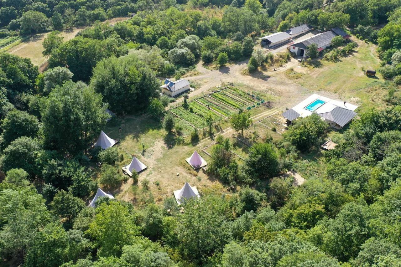 Gipsy Village Park Hotel Asureti Екстер'єр фото